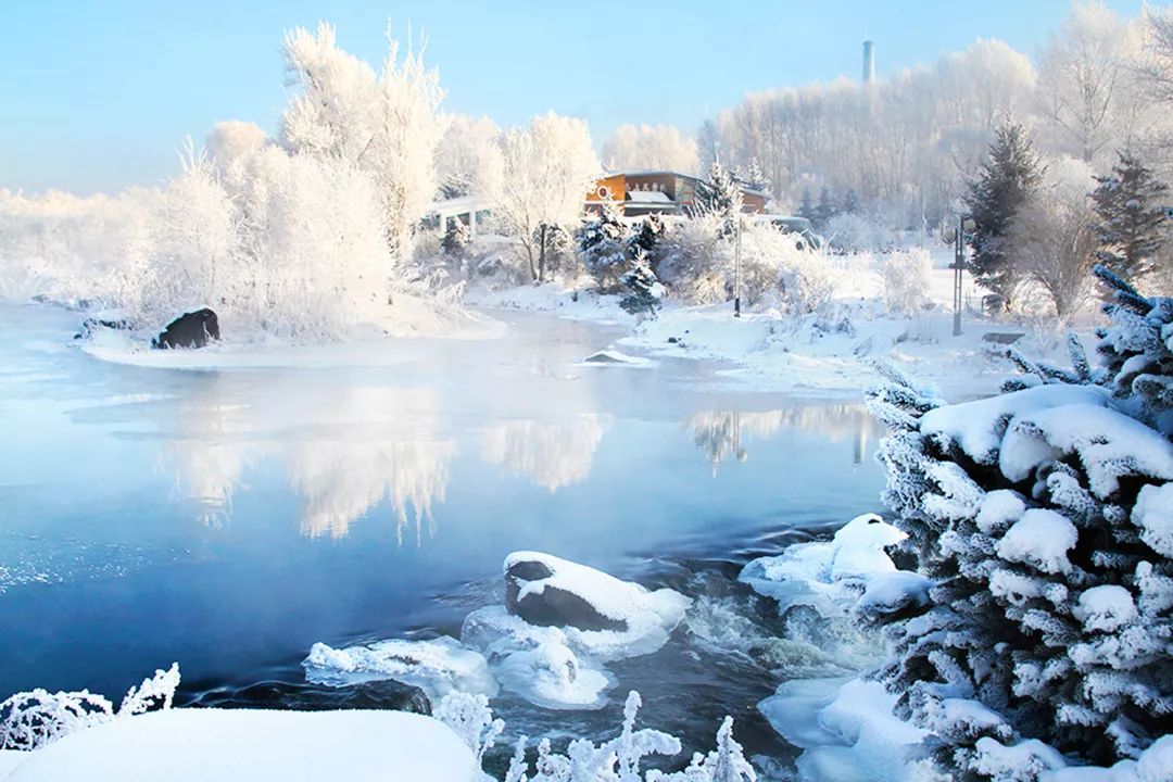 黑龙江秋色如画🌟🍂