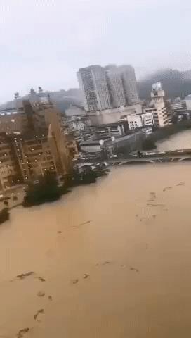 湖北，致敬领导与同胞的深情之声