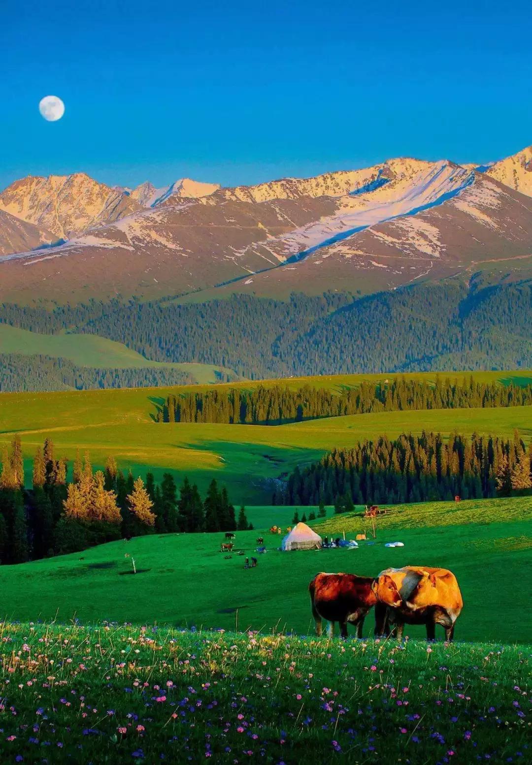 新疆,自然之约,浪漫邂逅之旅