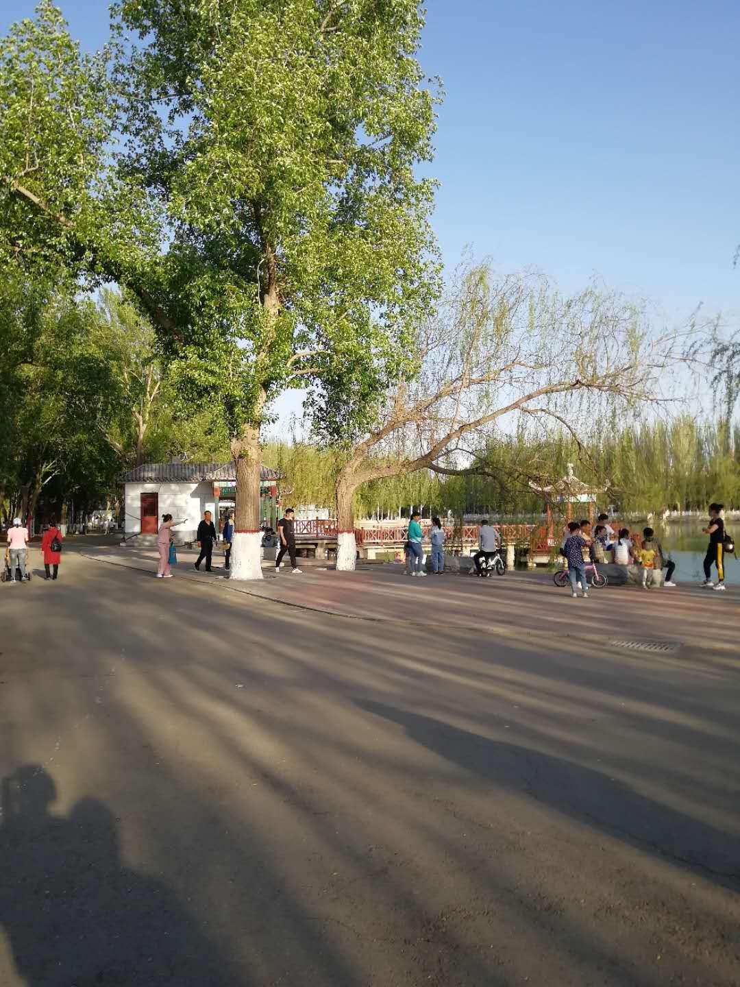 包头草原钢城的崛起与辉煌之路